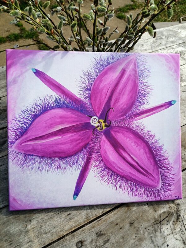 6. FRINGED VIOLET 35x40cm - boží otisk -duchovní ochrana a spojení s Duchem - Reprodukce  ( možnost různých velikostí ) - Image 4