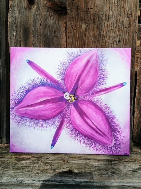 6. FRINGED VIOLET 35x40cm - boží otisk -duchovní ochrana a spojení s Duchem - Reprodukce  ( možnost různých velikostí ) - Image 2
