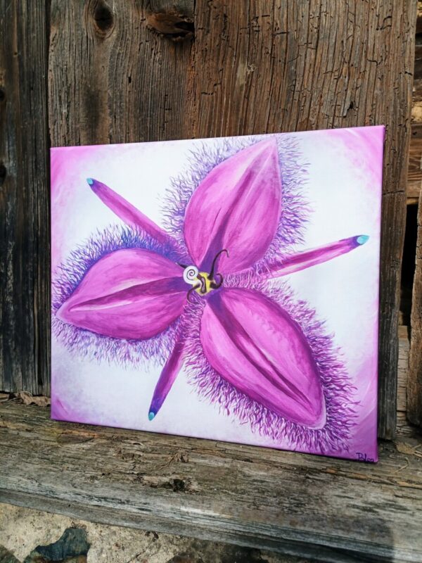 6. FRINGED VIOLET 35x40cm - boží otisk -duchovní ochrana a spojení s Duchem - Reprodukce  ( možnost různých velikostí ) - Image 3