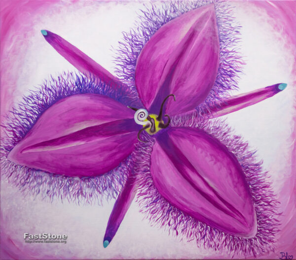 6. FRINGED VIOLET 35x40cm - boží otisk -duchovní ochrana a spojení s Duchem - Reprodukce  ( možnost různých velikostí )